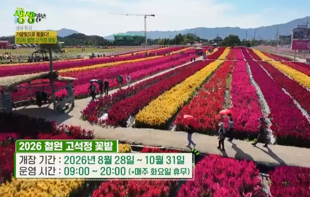고석정 꽃밭 전경 및 개장 기간 안내